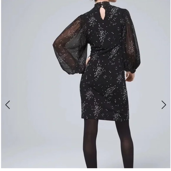 NWT! Bishop-Sleeved dress for fall - Picture 3 of 7